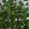 Nearly Natural 40-in Yukon Mixed Pine Artificial Christmas Tree with 213 Bendable Branches in Bronze Metal Planter - 3 of 3
