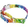Country Brook Petz Martingale Dog Collar with Premium Buckle - Groovy Collection - 2 of 4