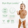 Parasol Clear+Dry Natural Disposable Diaper Pants - Select Size - 3 of 4