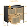 Lateral File Cabinet with Adjustable Hanging File Drawers, Rattan Storage Printer Stand, Natural - 2 of 4