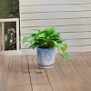 Set of 2 Round Ceramic Planter Pots with Drainage Hole, Indoor and Outdoor Flower Pots for Home, Patio, Balcony or Garden – The Pop Home - 3 of 4