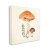 Stupell Industries Woodland Mushroom Botanical Fern Gallery Wrapped Canvas Wall Art - 3 of 3