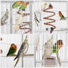 Yaheetech 69"H Extra Large Bird Cage for African Grey Sun Conures Parakeets Cockatiels White - 4 of 4