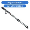 Pawtitas Glow In The Dark Adjustable Cat Collar - 4 of 4