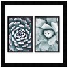 13" x 19" Muted Succulent Set Framed Wall Art Green - Wynwood Studio - 3 of 3