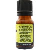 Plantlife Dill Aromatherapy Essential Oil – 100% Pure, Therapeutic Grade, No Additives or Fillers, 10 ml - 2 of 2