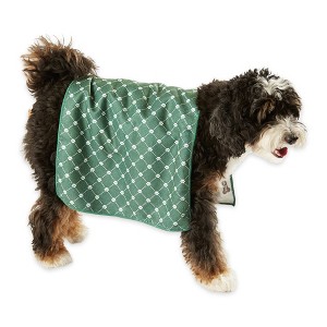Bone Dry Microfiber Trellis Printed Pet Towel 3 Piece Set, Hunter Green - 1 of 4