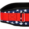 Schiek Sports Model 2006 Nylon 6" Weight Lifting Belt - 4 of 4