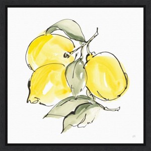 Amanti Art Lemons III by Chris Paschke Canvas Wall Art Print Framed 16 x 16-in. - 1 of 4