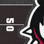 georgia bulldogs uga