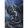 Trends International Lisa Parker - Protector Of Magic Unframed Wall Poster Prints - 4 of 4