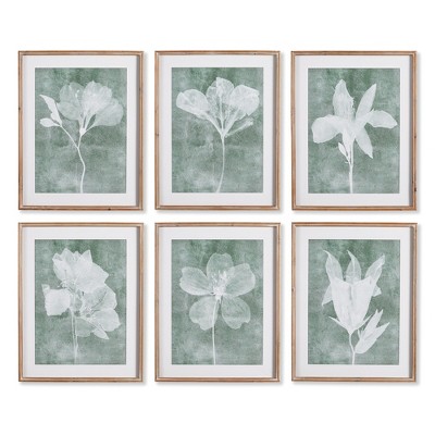 Plum & Post Translucent Floral Prints Set of 6