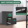 Munora - 2-Drawer Vertical File Cabinet with Lock - Heavy Duty for Letters/Legal/A4 Files - Black - 4 of 4