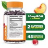 Lifeable - Iron + Vitamin C - Adult - 90 Gummies - 2 of 2