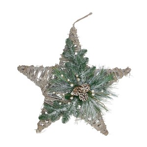 Northlight Frosted Mixed Pine Hanging Star Christmas Ornament - 24" - Green, Gray and Brown - 1 of 3