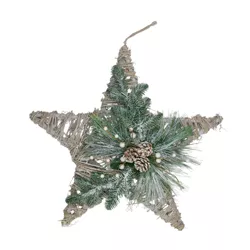 Northlight 24" Green, Gray, and Brown Frosted Mixed Pine Hanging Star Christmas Ornament