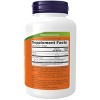 Extra Strength Silymarin Milk Thistle Extract 450 mg by Now Foods  -  120 Softgel - 2 of 3