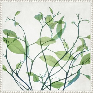 Amanti Art Rendezvous I by Dianne Poinski Wood Framed Wall Art Print - 1 of 4