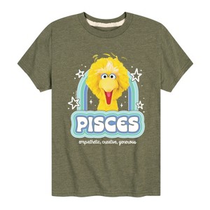 Boys' - Sesame Street - Pisces Big Bird Short Sleeve Graphic T-Shirt - 1 of 4