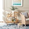 Treise 2 Tier Bar Cart - BCT6501A - Natural - Safavieh - 3 of 4