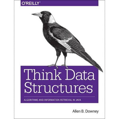 Think Data Structures - by  Allen B Downey (Paperback)