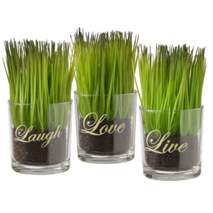 National Tree Company 3-Piece Sprout-Filled Glass Assortment - 1 of 4