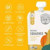 Serenity Kids Organic Squashes with Organic Olive Oil Baby Food Pouch - 3.5oz - 3 of 4