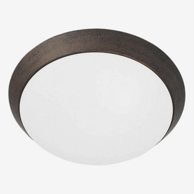 White Glass 11-inch Indoor/Outdoor Flush Mount Light