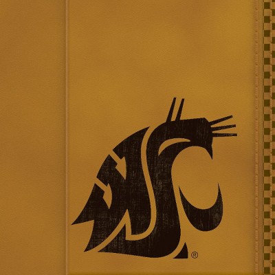 washington state cougars