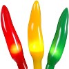 Novelty Lights 50 Light Fiesta Chili Pepper Ristra, 16" Long - 2 of 3