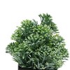 Unique Bargains Plant Fake Frosted Plastic Green 2.36"x2.36"x7.48" 1Pc - 4 of 4