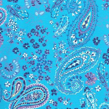 pretty turquoise paisley