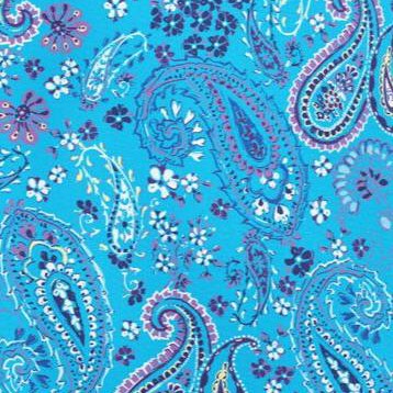 pretty turquoise paisley