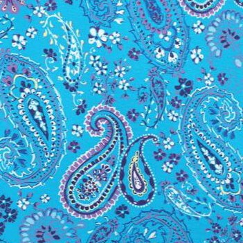 pretty turquoise paisley