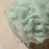 EcoTools Delicate Ecopouf Bath Sponge - 4 of 4