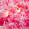 Northlight Pre-Lit Artificial Flocked Pine Christmas Wreath - 36" - Pink - Clear Lights - 4 of 4