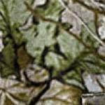 woods camo