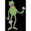 Men's The Muppets Flower Power T-Shirt - 2 of 4