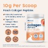 NativePath Peach Collagen Peptides, 224 g, 7.9 oz, 20 Servings - image 4 of 4