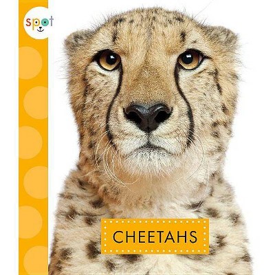 Cheetahs - (Spot African Animals) by  Mary Ellen Klukow (Paperback)