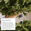 Balsam Hill Pre-Lit Alpine Balsam Artificial Christmas Tree - 3 of 4