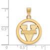 Black Bow Jewelry 14k Yellow Gold Plated Sterling Silver Virginia Wahoos NCAA Small Pendant - 2 of 3
