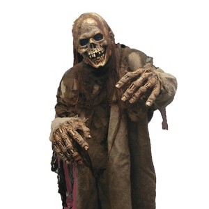 Chuck Jarman Adult Scary Skeleton Flesh Eater Costume Mask -  - Beige - 1 of 1