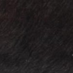 dark brown/ivory