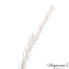 Uniquewise Preserved Real Floral Stems Chic Vase Fillers & Accents for Bouquets Centerpieces - 4 of 4