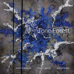 Tone Forest - Tone Forest (CD) - 1 of 1