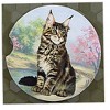 E & S Imports 2.5 Inch Maine Coon Car Coaster Super Absorbent Coasters - 3 of 3