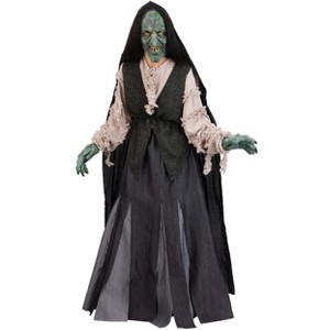 HalloweenCostumes.com Adult Premium Evil Green Witch Costume | Scary Witch Costumes - 1 of 4