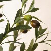 Artificial Olive Tree Indoor, Tall Faux Olive Tree with Moss, Black Nursery Pot, Artificial Silk Plant, Designed Faux Wood Trunk - 4 of 4
