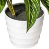 Vickerman 21" Green Alocasia in White Ceramic Pot. - 3 of 3